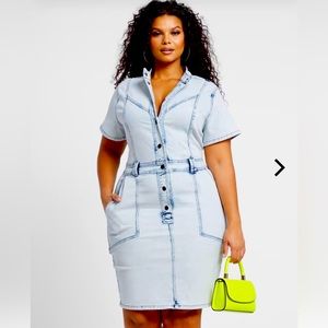 Fashion to Figure Button Front Denim Dress